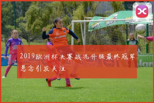 2019欧洲杯决赛战况升级最终冠军悬念引发关注